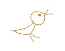 Tierarztpraxis Dahme, Vogel